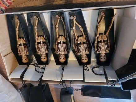 Photo of free Halloween lights (Charnock S12) #1