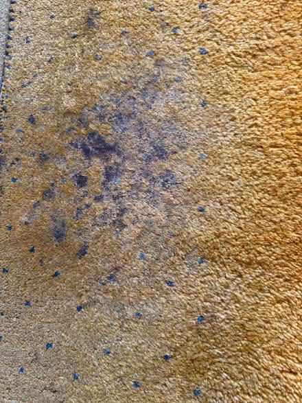 Photo of free IKEA wool rug (North Halifax) #4