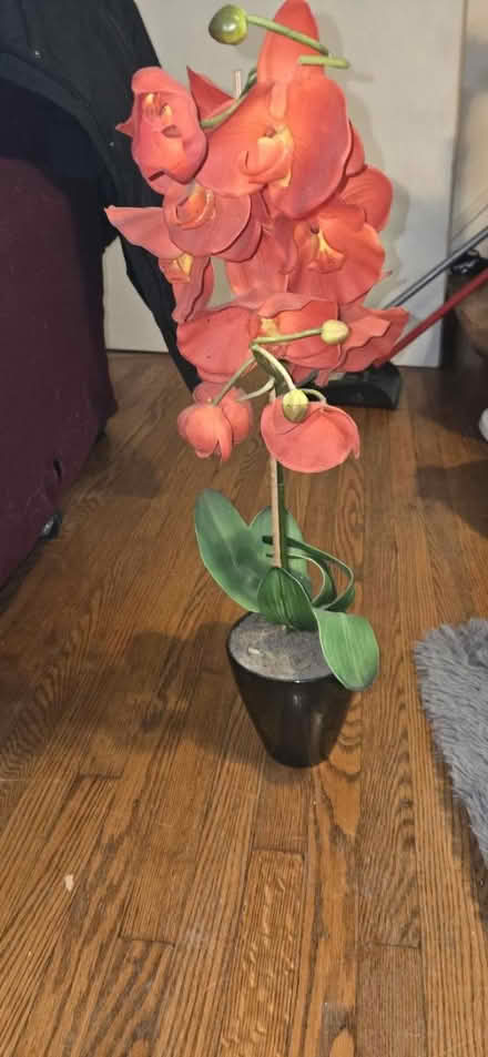 Photo of free Artificial plant (Upper Darby) #1