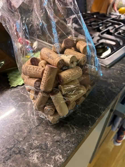 Photo of free Bag of wine corks (16th Street Heights) #2