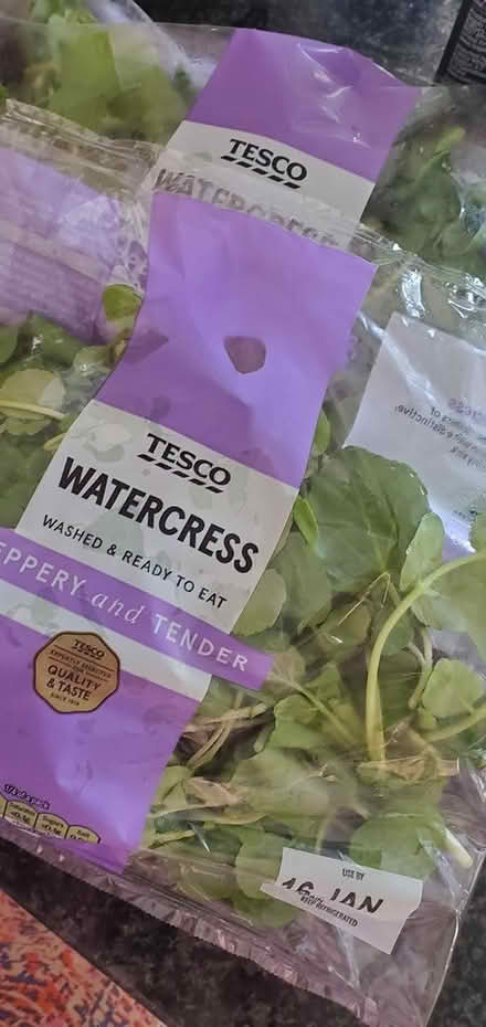 Photo of free Watercress (Ig5) #1