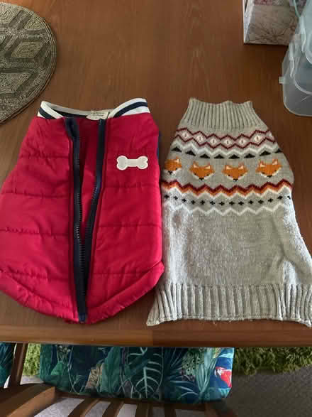 Photo of free Dog coat & jumper (Hastings. Broom grove TN34) #1