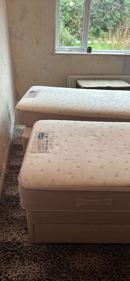 Photo of free Single beds (Sedgwick LA8) #2