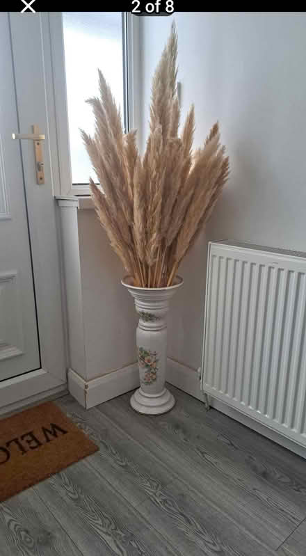 Photo of Pampas Grass (Castle Vale B35) #1
