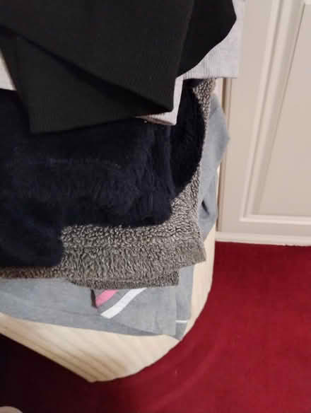 Photo of free Ladies hooded sweatshirts (Speedwell Bristol) #2