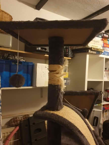Photo of free Tall cat tree (Bevendean crescent BN2) #3