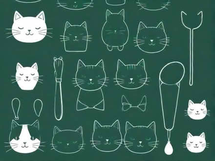 Photo of Cat accessories (Poets MK40) #1