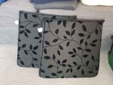 Photo of free Dining chair seat cushions (Kendal LA9) #1
