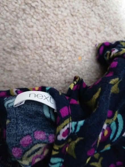 Photo of free Dress 9-12 months Next (Langney BN23) #2