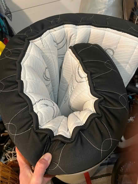 Photo of free West Elm Sleeper Sofa Mattress (Lower Piedmont) #1