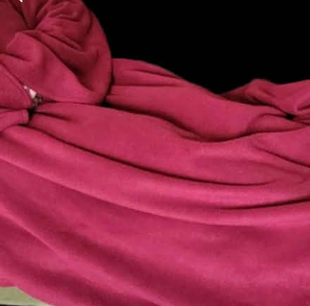Photo of free Wine Coloured Blanket With Arms (Hanworth TW2) #2