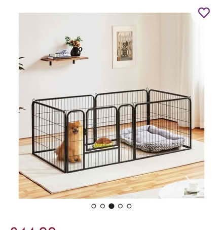 Photo of Whelping box (St Leonards TN38) #3