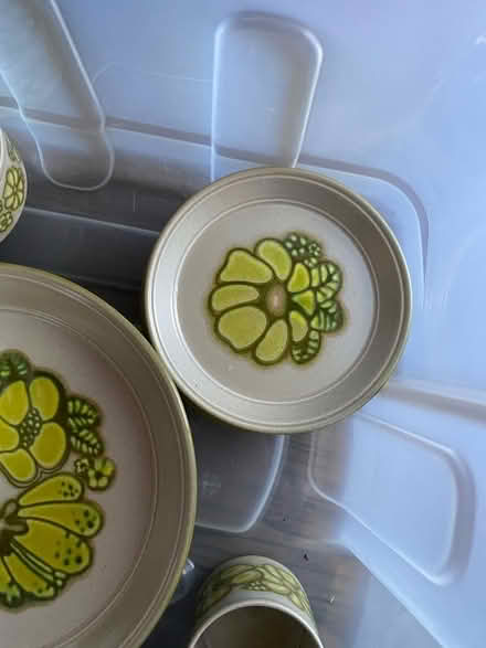 Photo of free Dinner service (Woodley RG5) #2