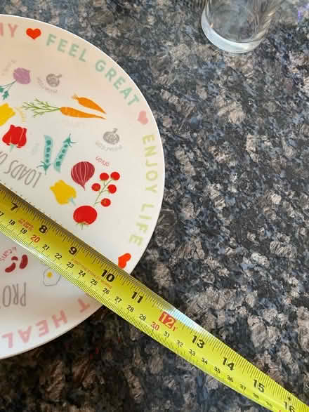 Photo of free Portion plate (Woodley RG5) #2