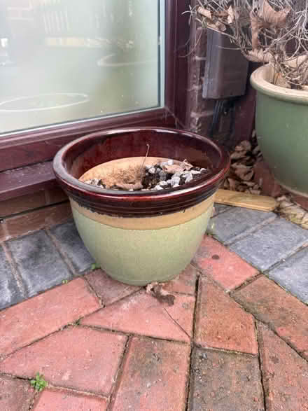 Photo of free Outdoor plant pots (Offerton SK2) #3