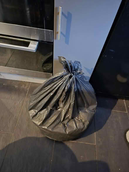 Photo of free Bag of packing peanuts (Norton Hammer S8) #1