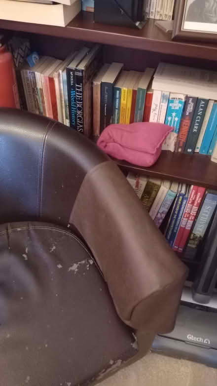 Photo of free Tub chairs (IP6) #1
