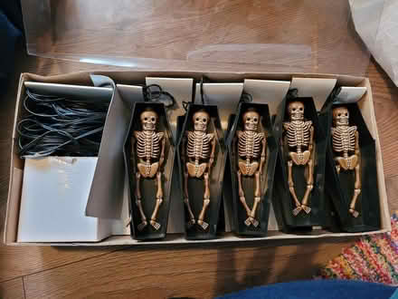 Photo of free Halloween lights (Charnock S12) #2