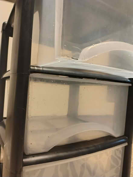 Photo of free Plastic storage drawers (Adamsdown CF24) #2