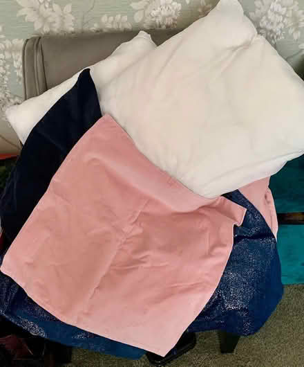Photo of free 2 cushions and 5 cushion covers (L15 Wavertree) #1