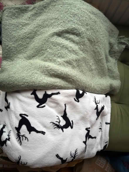 Photo of free Blankets x2 (Harringay N4) #1