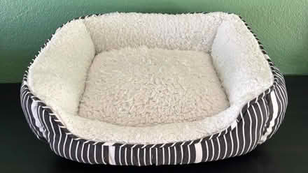Photo of free Pet bed (North Fontana) #1