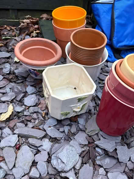 Photo of free Selection of ceramic plant pots (Walshaw BL8) #1