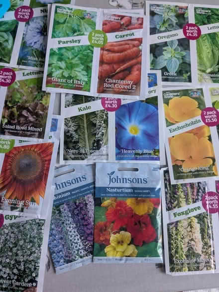 Photo of free Flower seeds (Penge SE20) #1