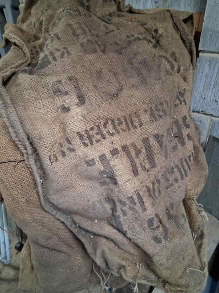 Photo of free Hessian Sacks (Kingston Park) #2