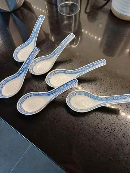Photo of free Chinese soup or rice spoons (North Elmham NR20 5EU) #1