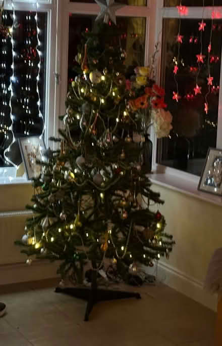 Photo of free Christmas Tree Lights (Kennington OX1) #1