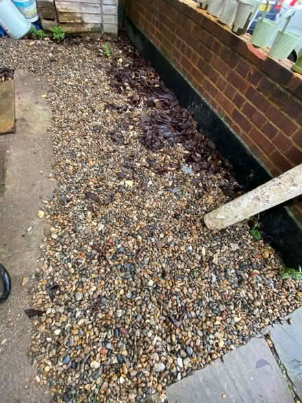 Photo of free Gravel / pea shingle (SW2 - Brixton) #2