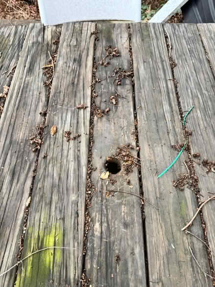 Photo of free Outdoor table (Woodridge (20018)) #2