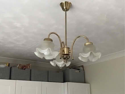 Photo of free Ceiling Pendant Light (Seaton EX12) #1
