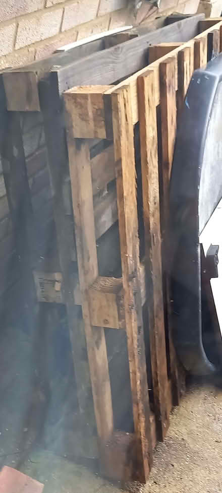 Photo of free Wooden pallets (Ashton Green BN8) #1