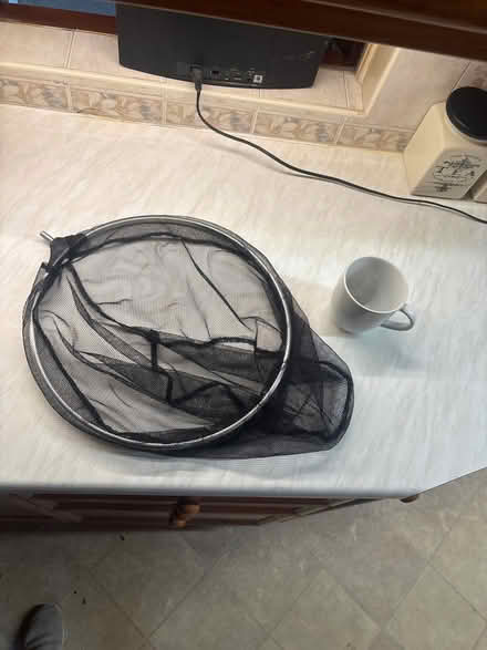 Photo of free Big fish landing net (Great Harwood BB6) #2