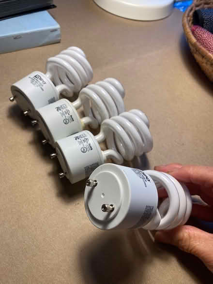 Photo of free TOSPO Bulbs (Nr Berkeley Natural Grocery) #2