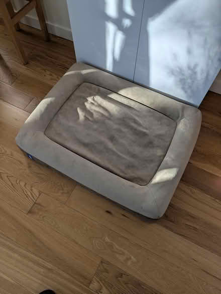 Photo of free Casper dog bed (Victoria / Venables) #1