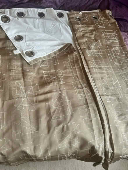 Photo of free Light brown eyelet curtains (Catshill - B61) #1