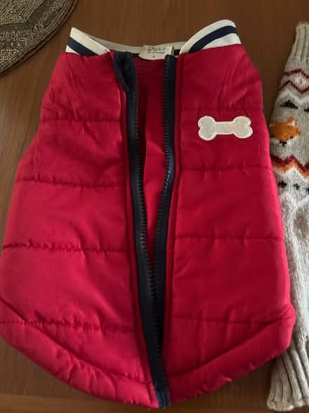 Photo of free Dog coat & jumper (Hastings. Broom grove TN34) #2
