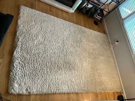 Photo of free Large area rug (Redwood City, Woodside Plaza) #1