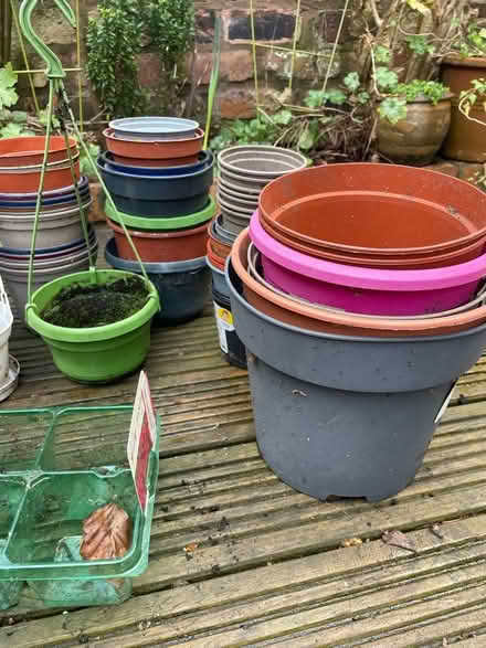 Photo of free Empty plastic plant pots (Queens Park CH3) #2