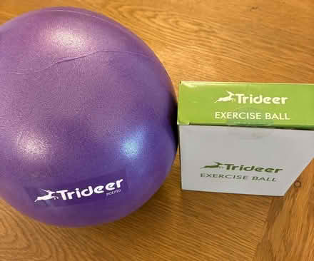Photo of free Exercise Ball (Lache CH4) #1
