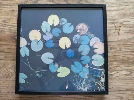 Photo of free Artwork in frame (Earwig Corner BN7) #1