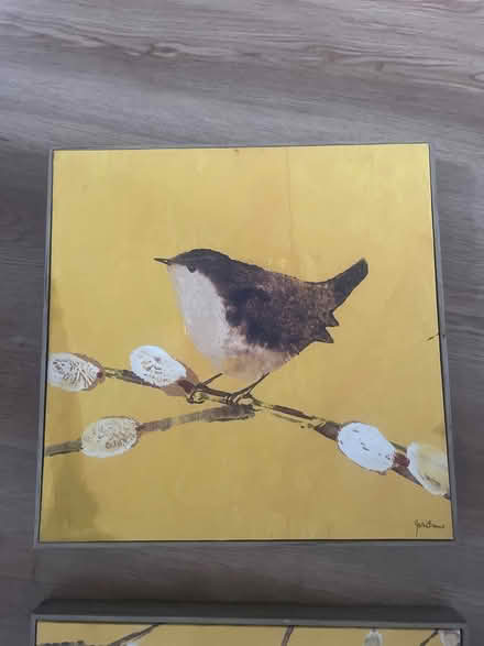 Photo of free Two yellow bird canvas prints (Garston WD25) #2