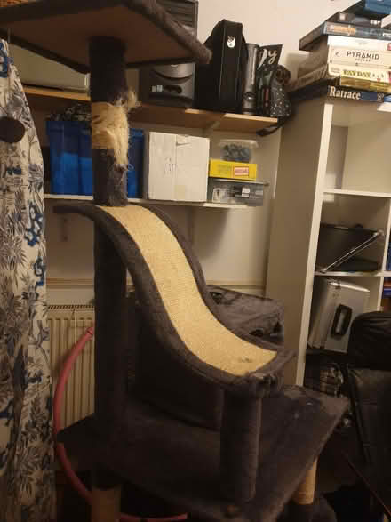 Photo of free Tall cat tree (Bevendean crescent BN2) #2