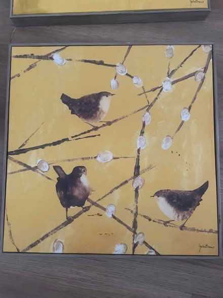 Photo of free Two yellow bird canvas prints (Garston WD25) #3