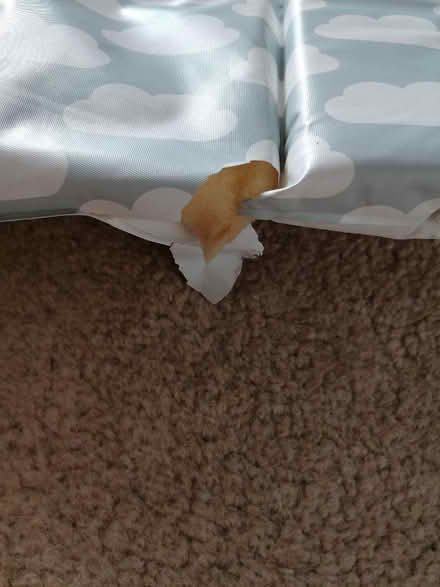 Photo of free Changing mat (Langney BN23) #2