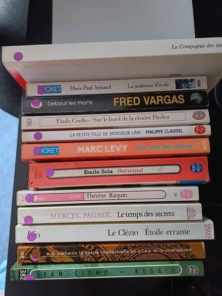 Photo of free Books in French - mostly fiction (Hale Barns, WA15) #1