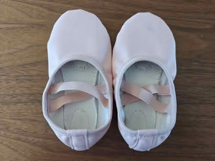 Photo of free Ballet Slippers (Near 92nd and Sheridan) #1